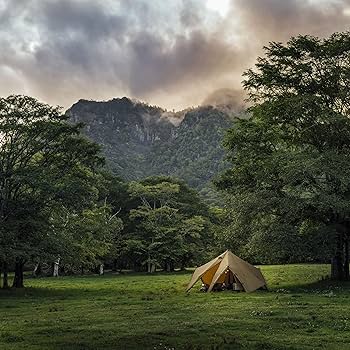 Amazon.co.jp: ゼインアーツ ZANEARTS PS-004 / ゼクーL